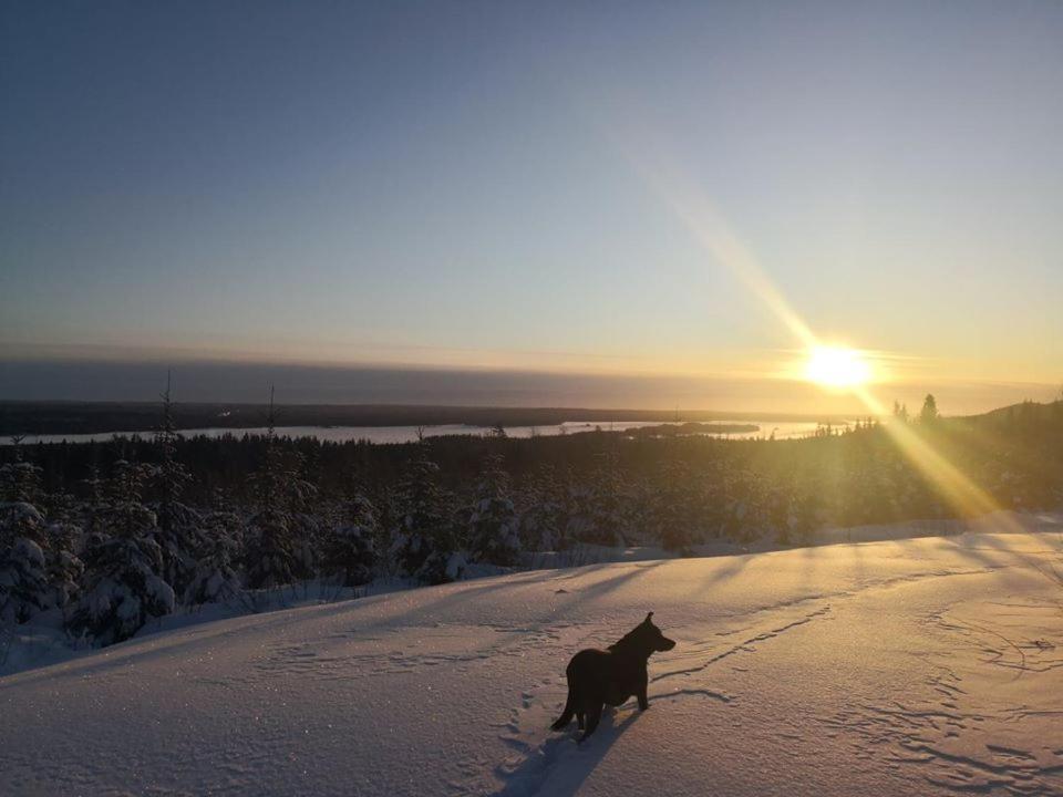 Hotelli Ravintola Tiilikka Rautavaara Bagian luar foto